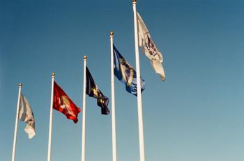flags