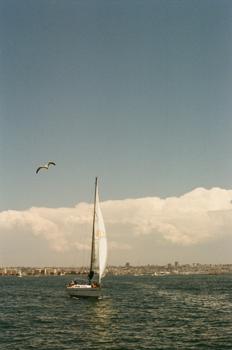 sail